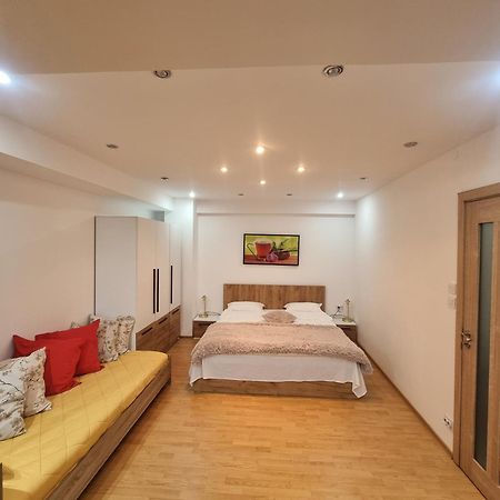 Gemasoti House Ξενοδοχείο Ντρομπέτα-Τούρνου Σεβερίν Εξωτερικό φωτογραφία